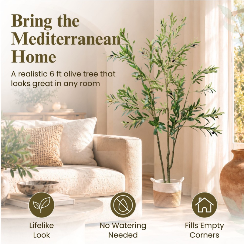 olive tree Amazon amazon listing images 2: Benefits