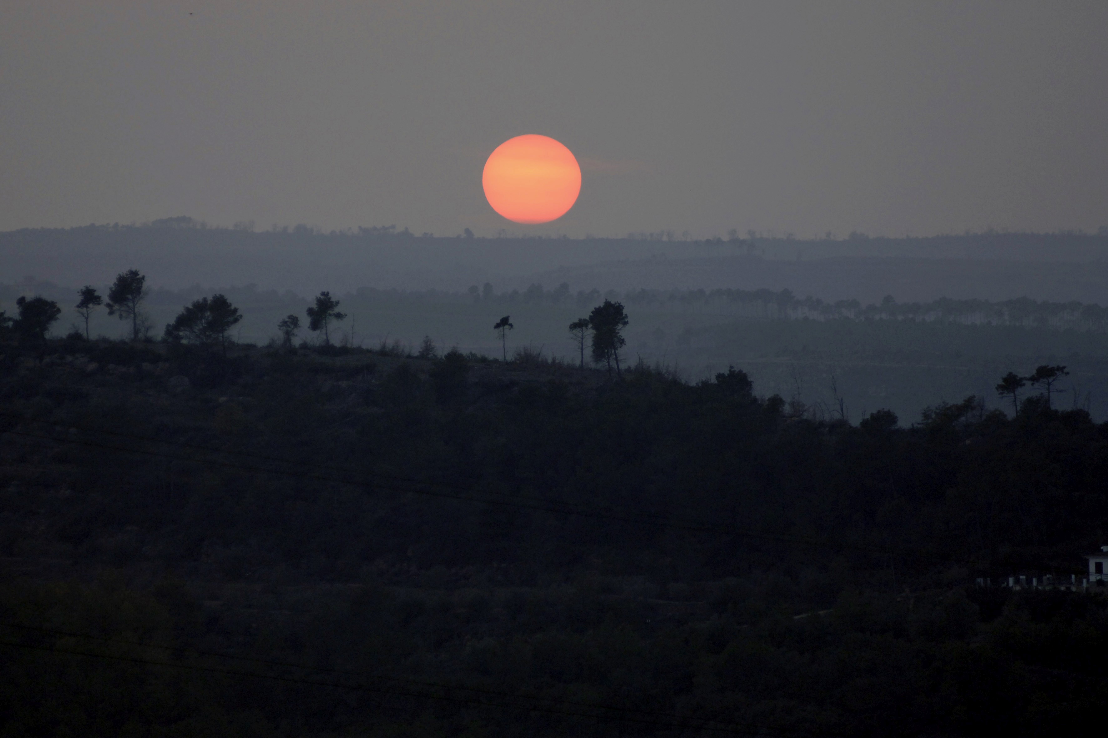 Chart or graph showing pricing information, representing transparent pricing with no hidden fees.