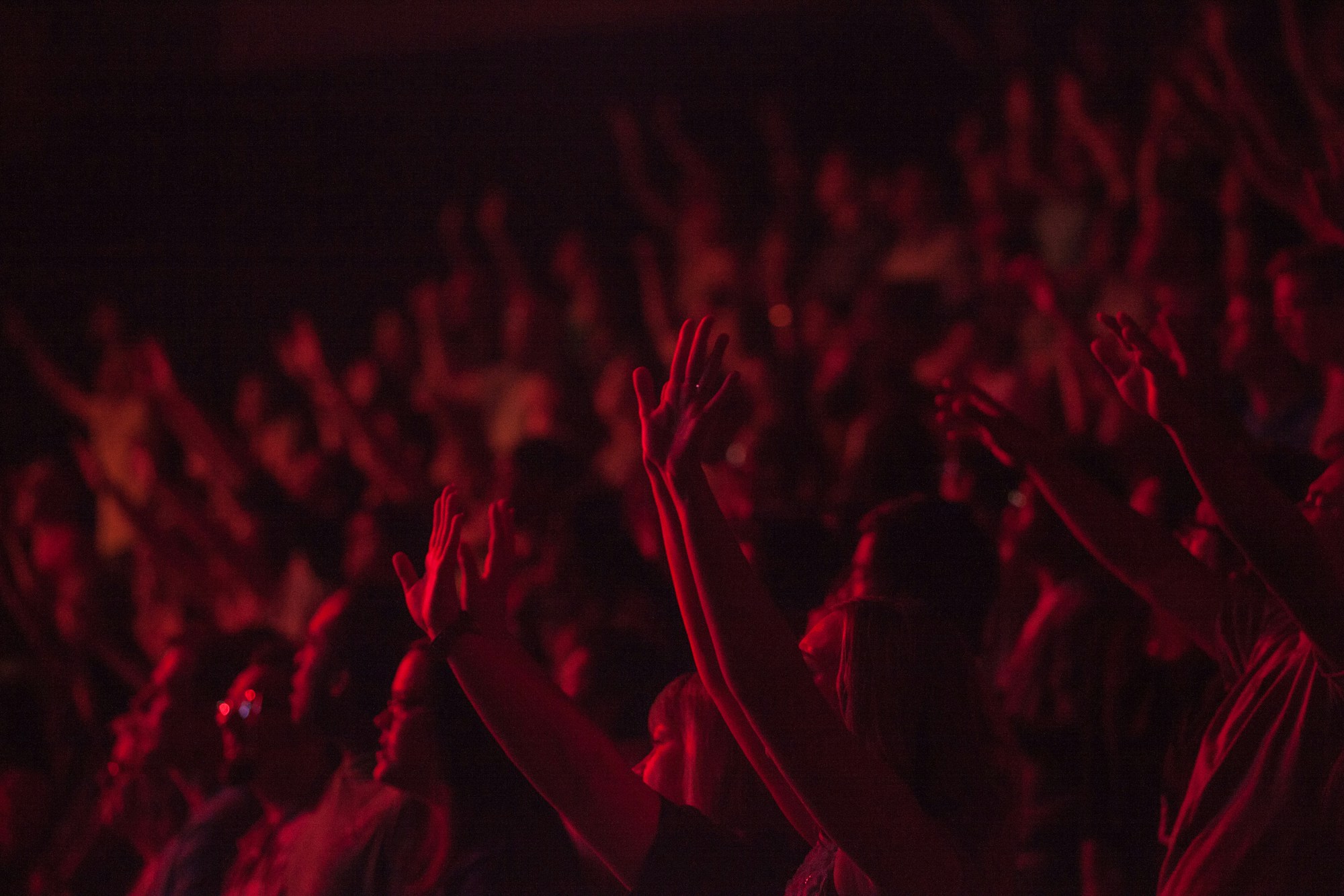 concert audience