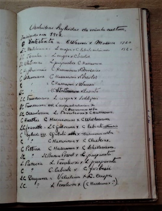 Caderno manuscrito com lista de híbridos de orquídeas anotados por Paulino Recch