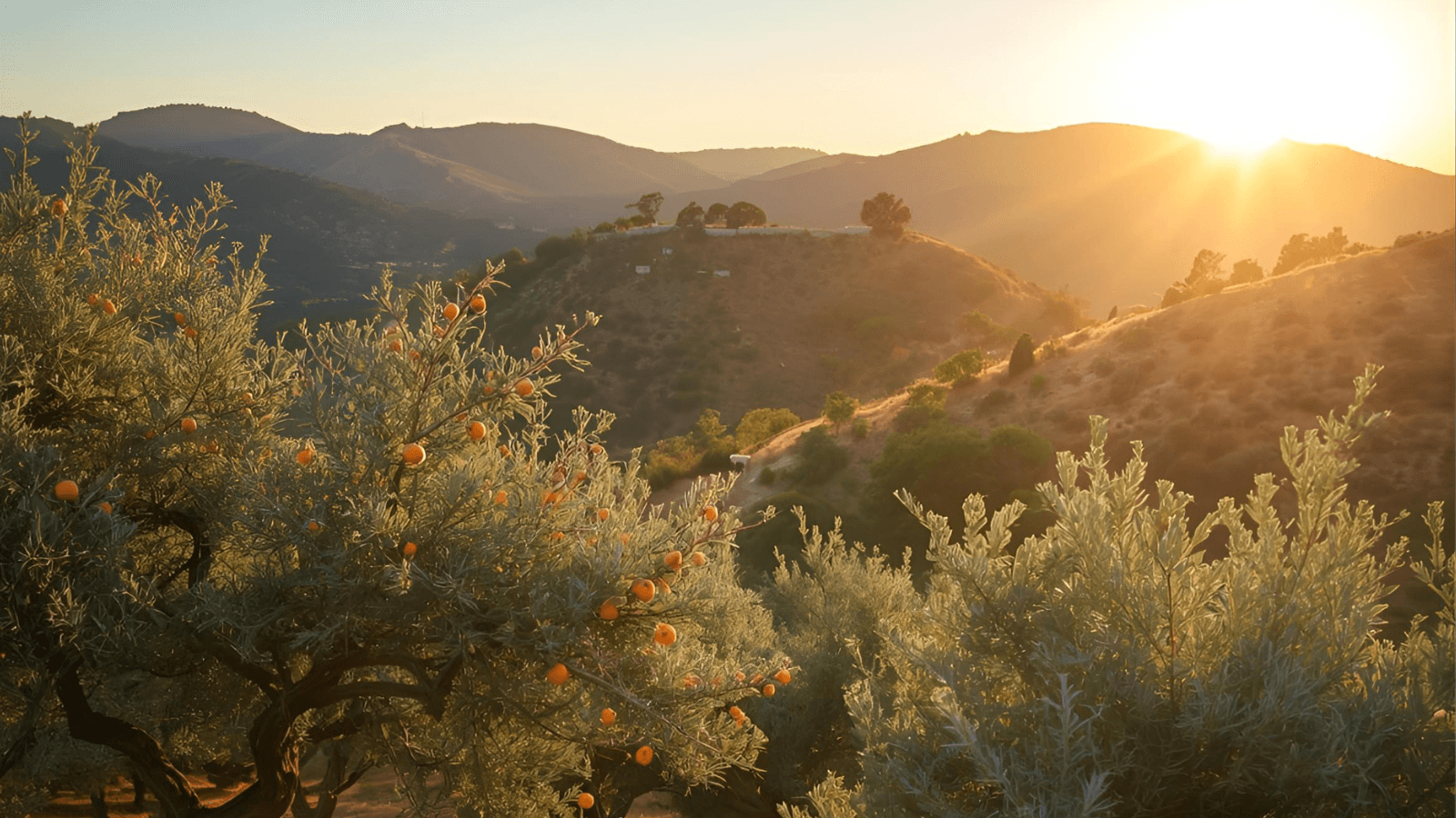 Mallorca im Herbst ist anders