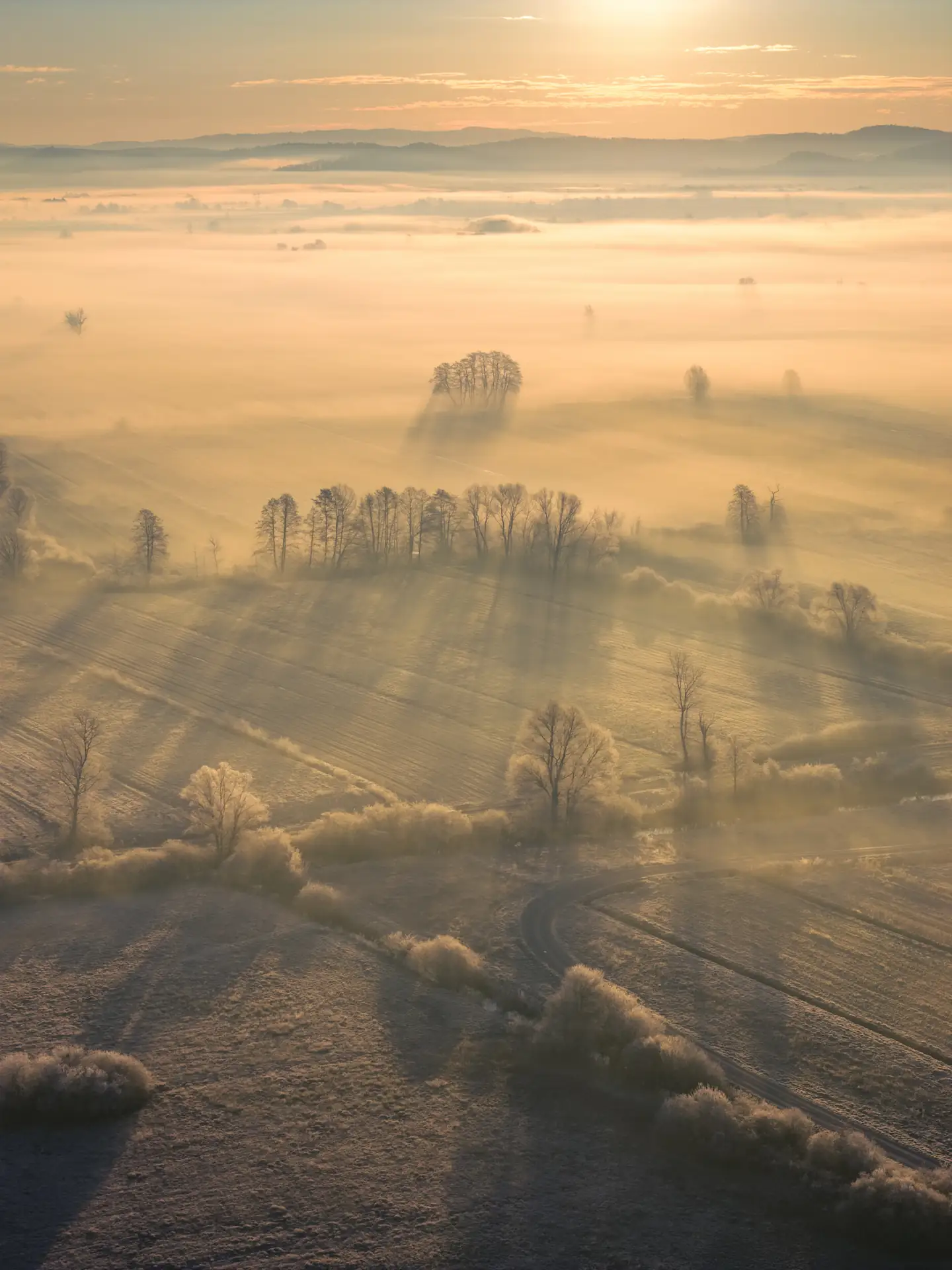Golden morning light illuminating a layer of heavy fog over agricultural fields, highlighting silhouettes of trees and their elongated shadows on the frost-covered earth.