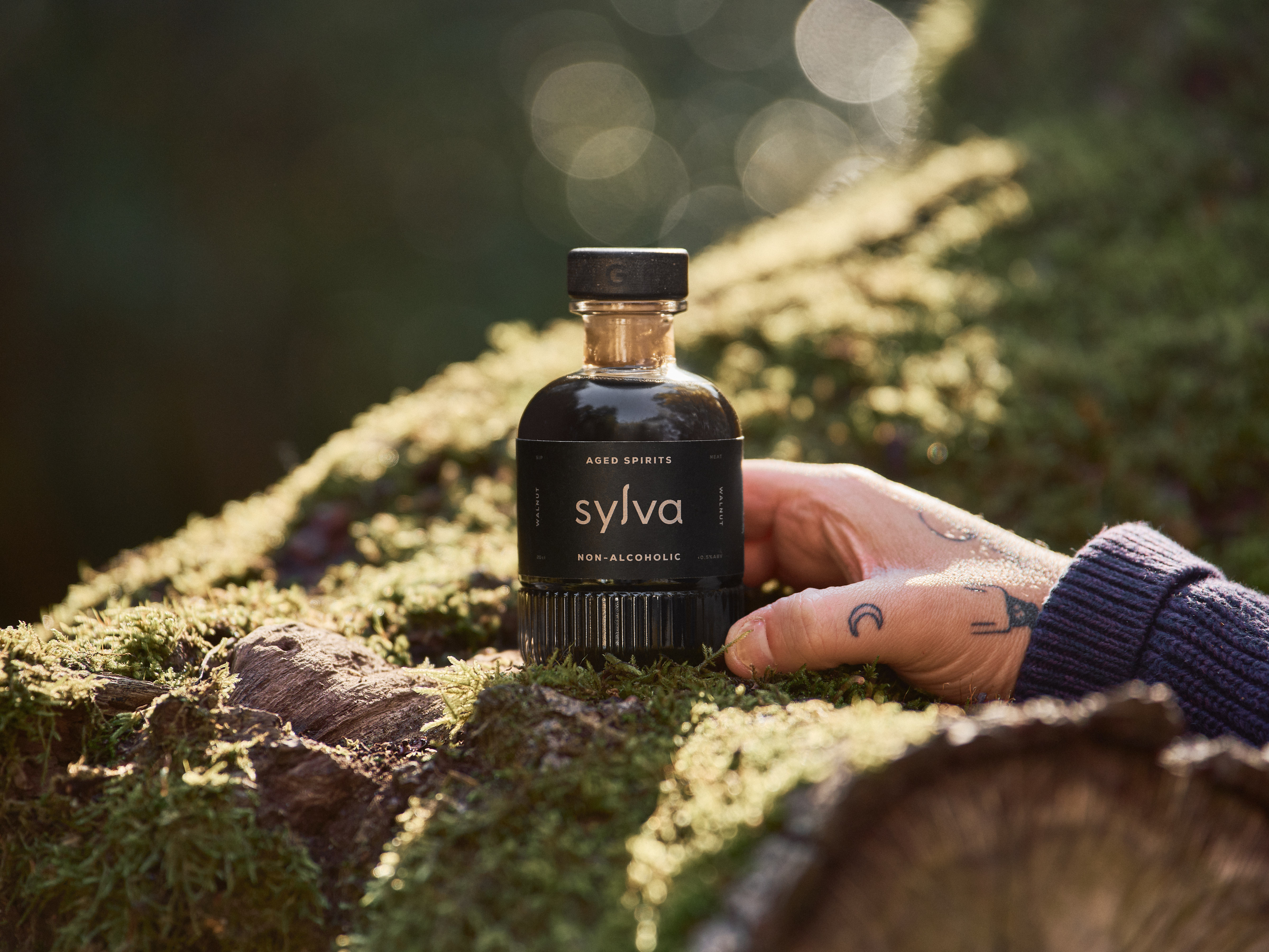 Sylva AW25