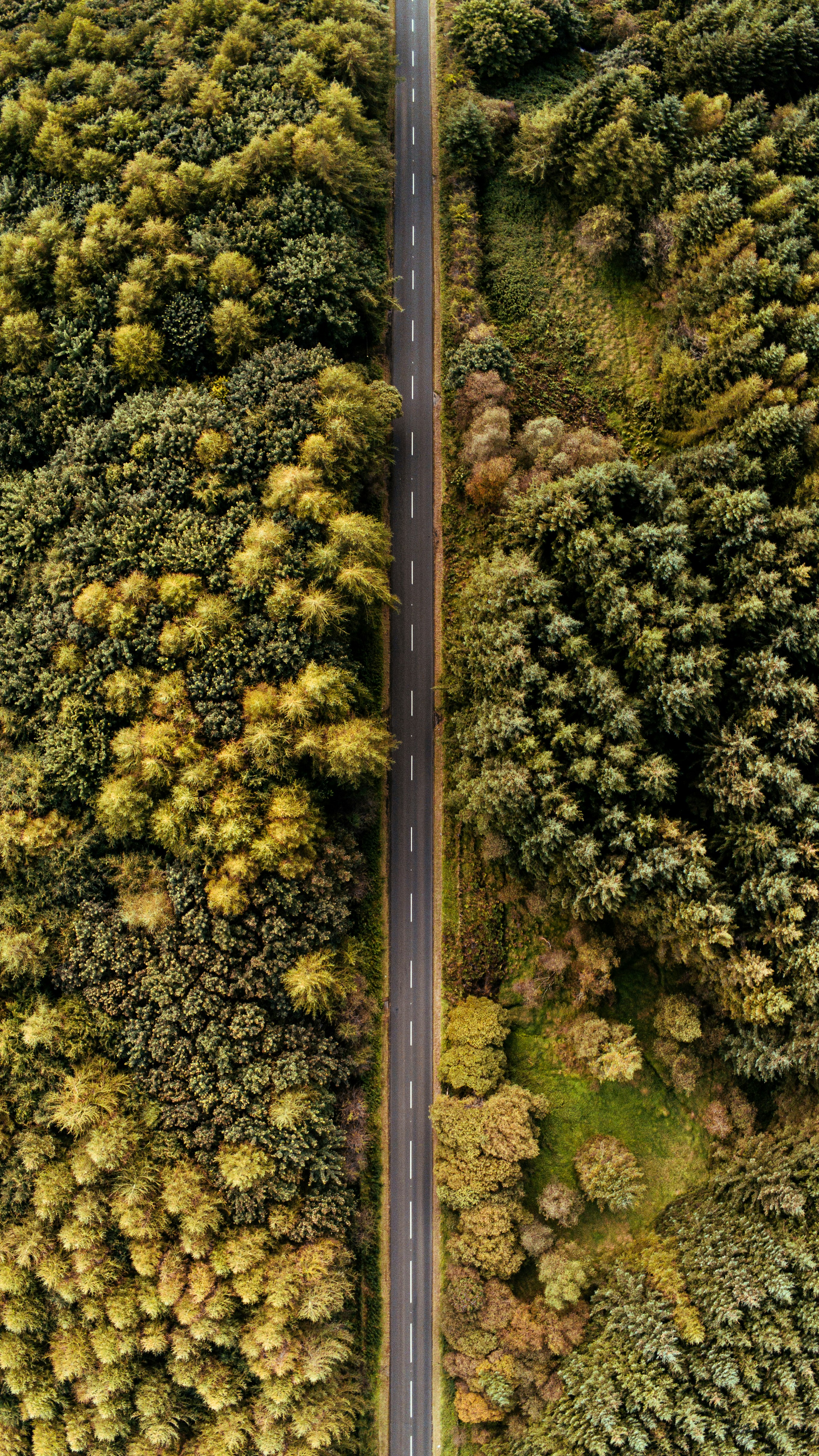 road_2
