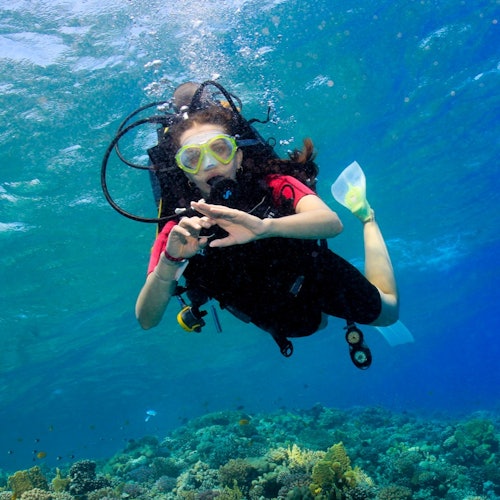 Hurghada: Guided Scuba Diving Experience + Roundtrip Transfer + Lunch