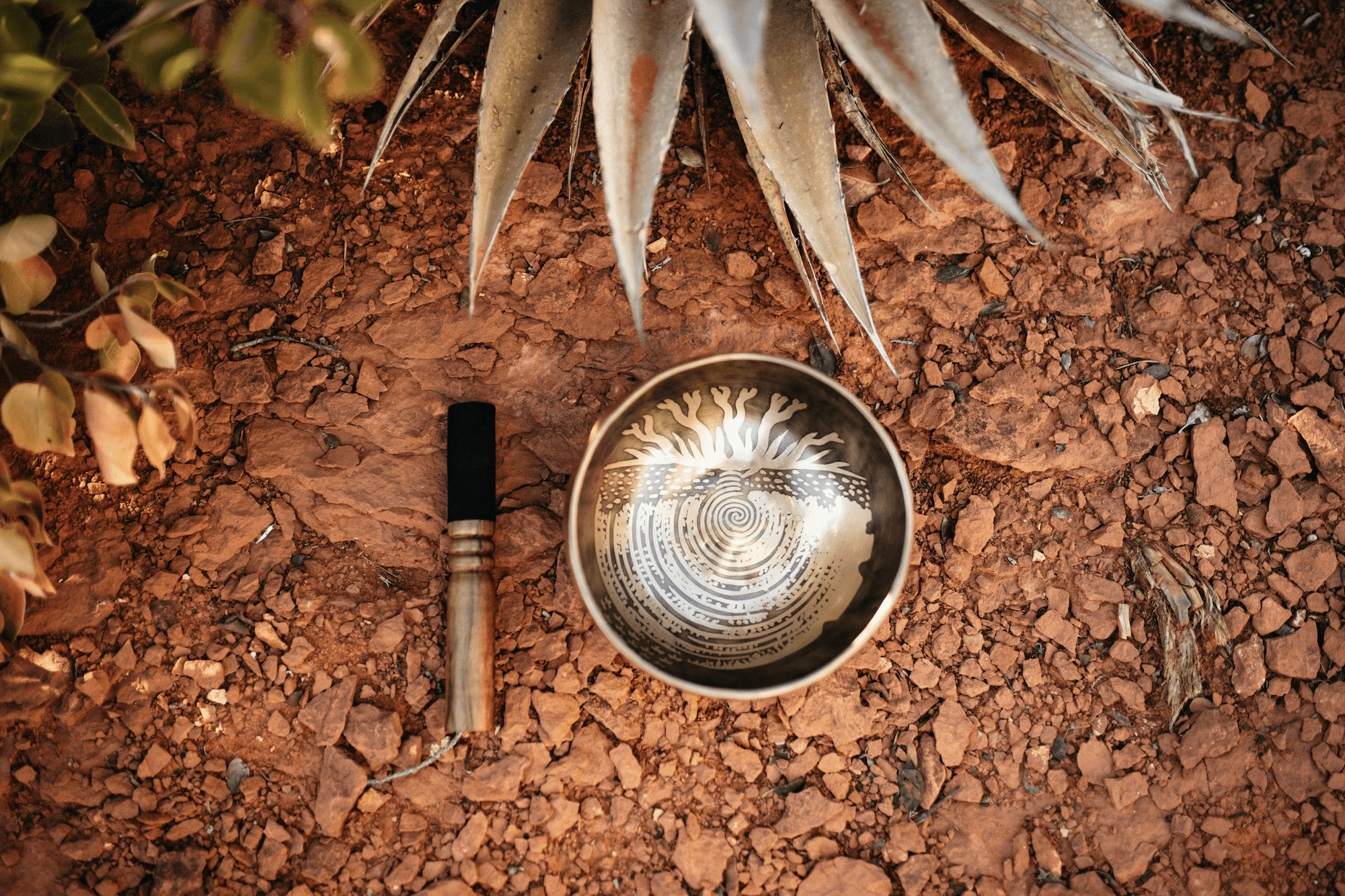 Sound Healing Session - Soulful Renewal By Shanti