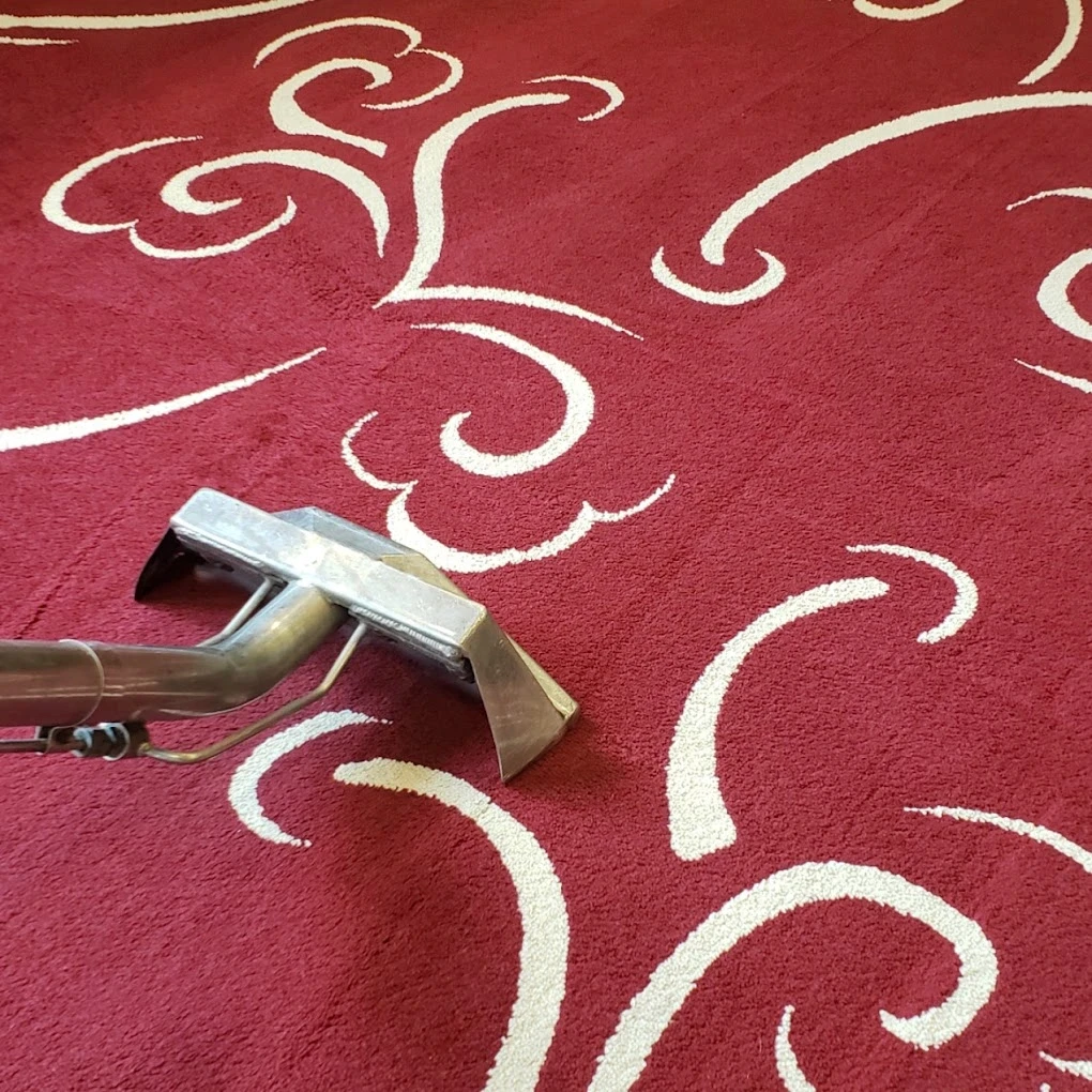 Vacuum cleaner on a red patterned carpet.