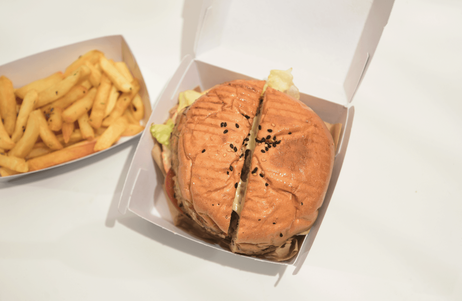A small green plant sprouts from the moss