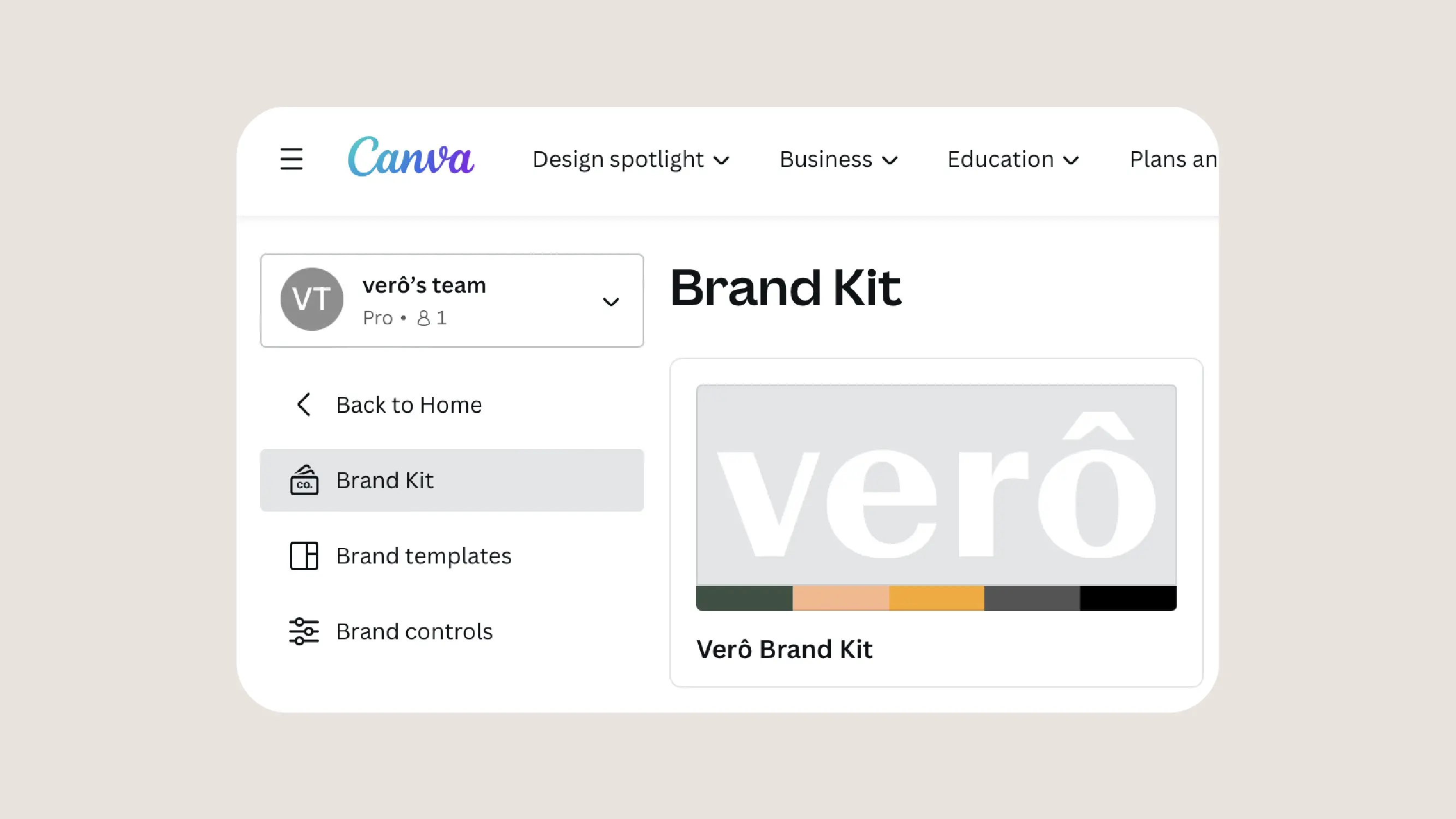 Canva brand kit