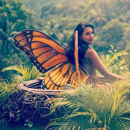 A woman with large, vibrant butterfly wings sits amidst lush green foliage in an outdoor setting.