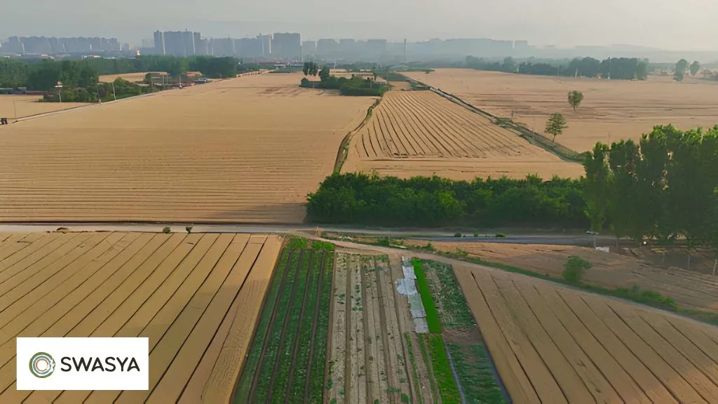 Which Country Has the Most Under-Utilized Farmland