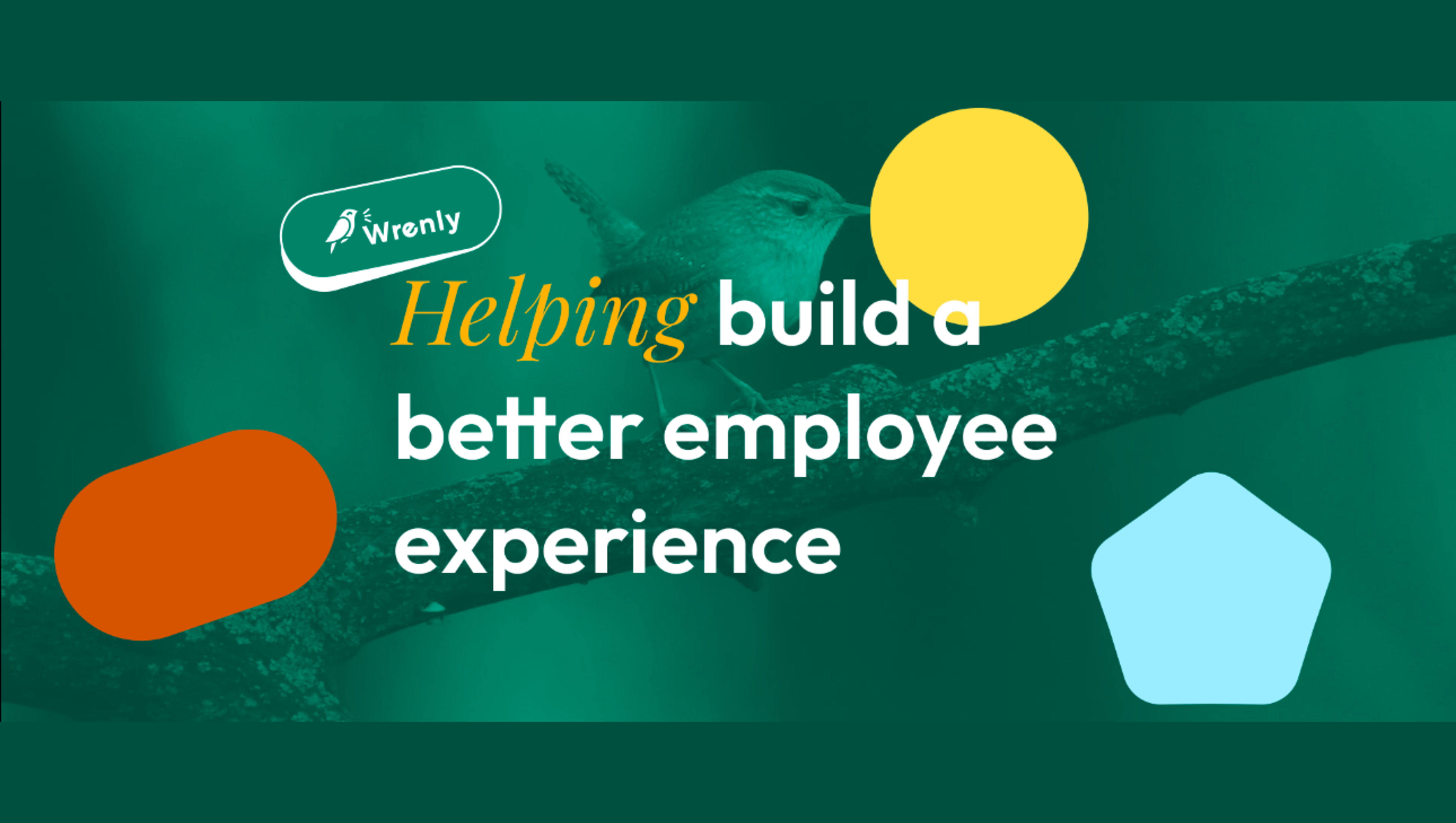 Portfolio project image