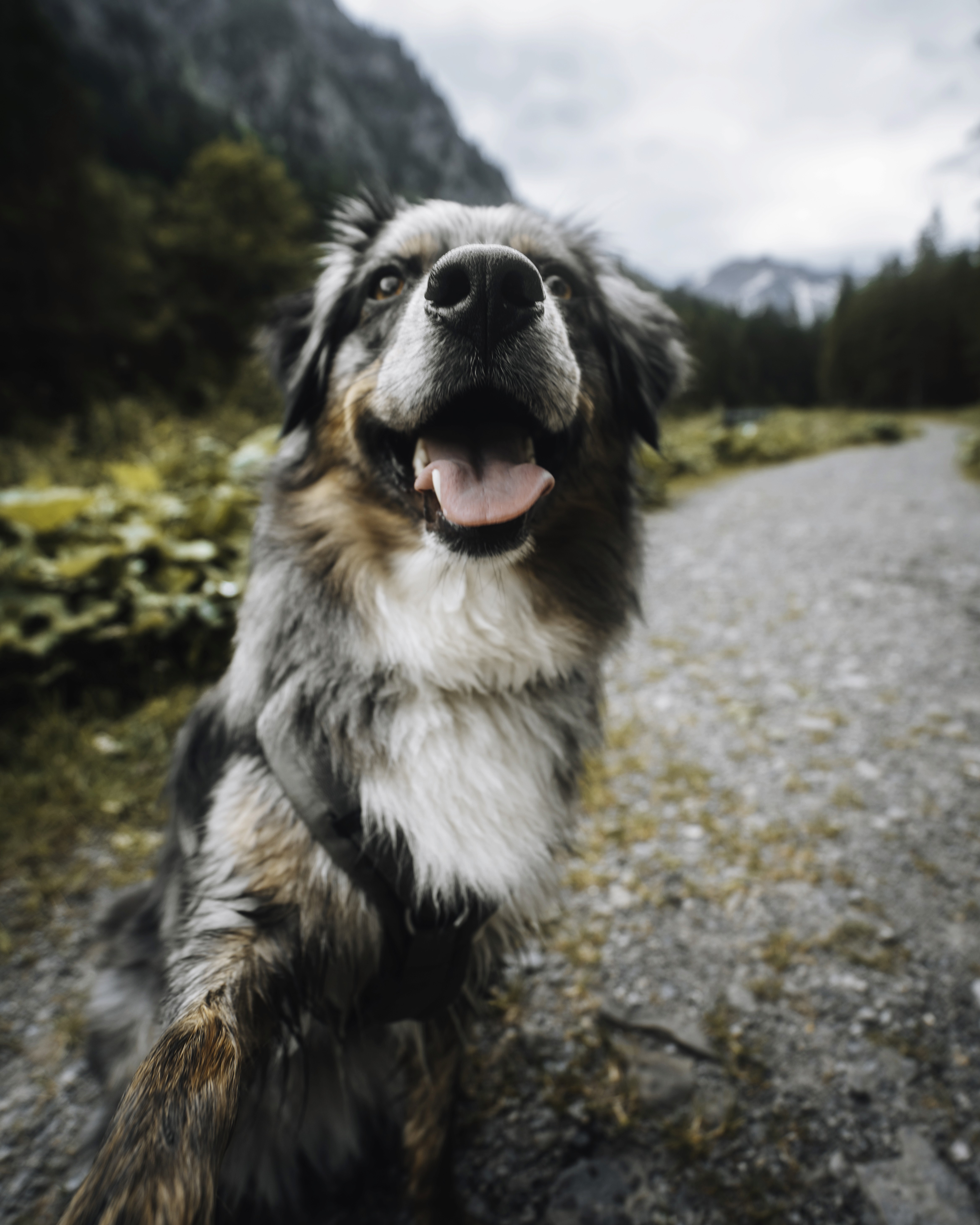 Portrait of a person in dark clothing speaking on a phone