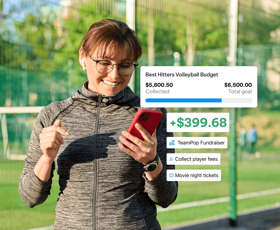 TeamLinkt's Budget Tool Snippets