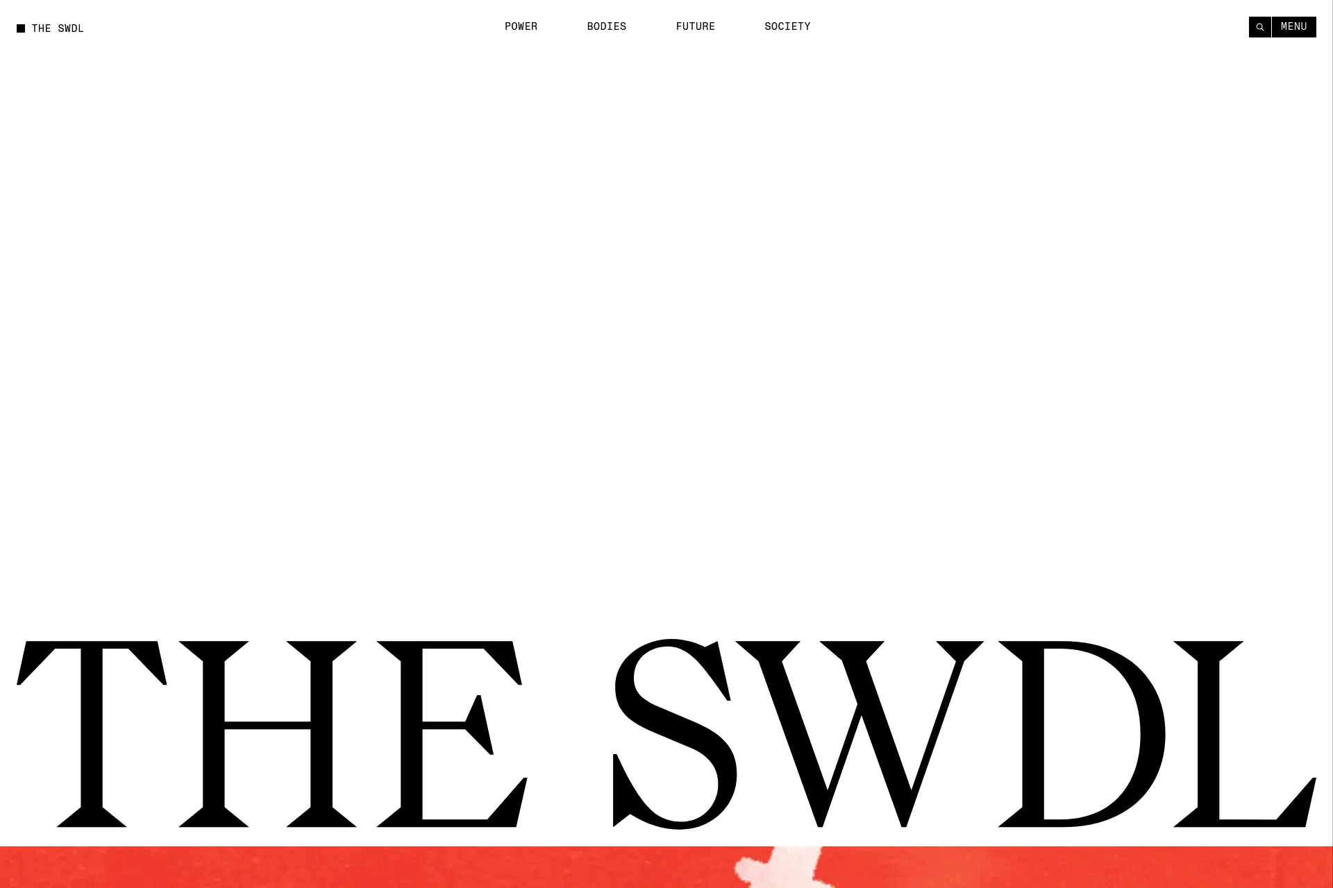 Screenshot of The Swaddle website