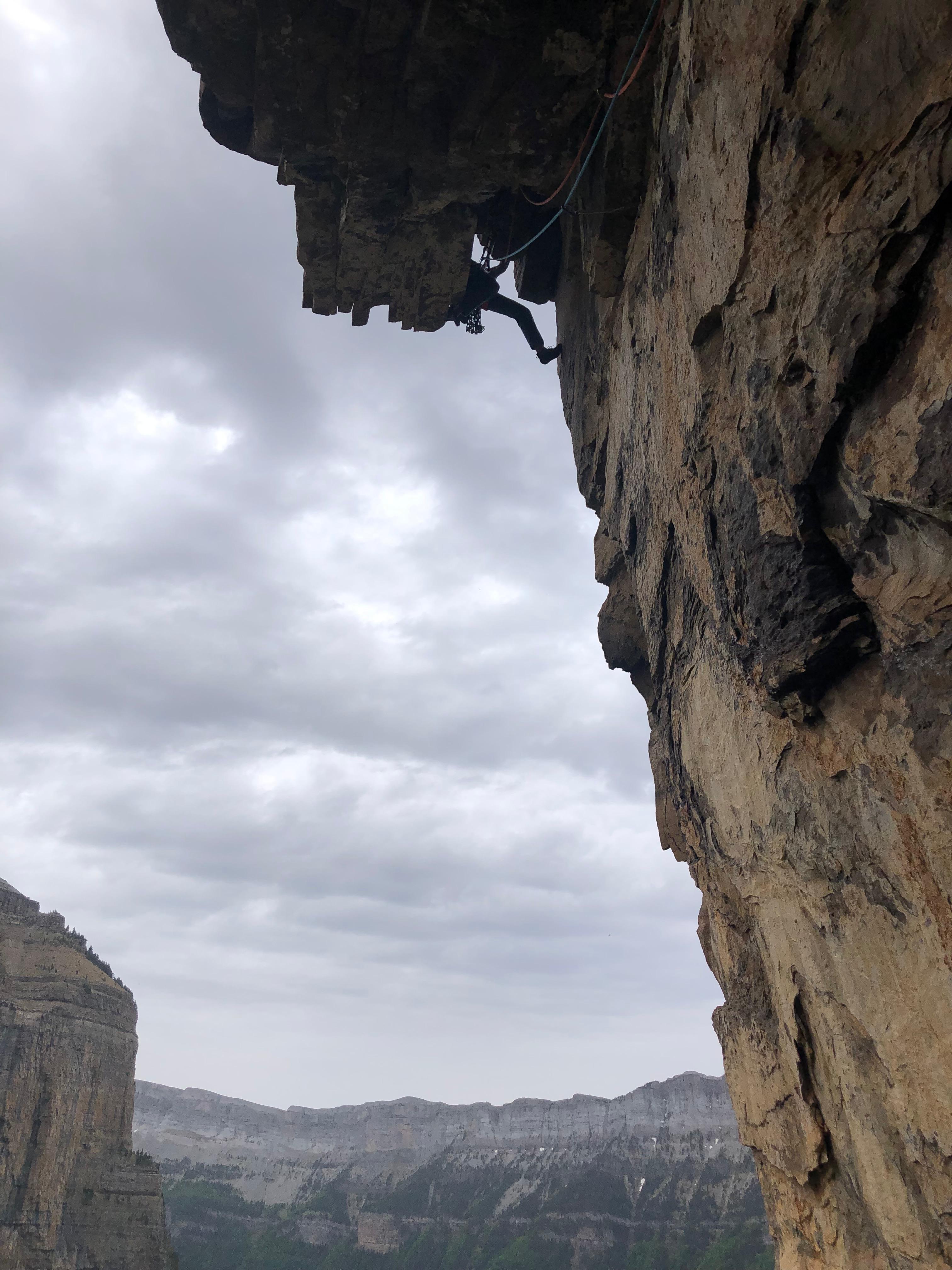 People in the office