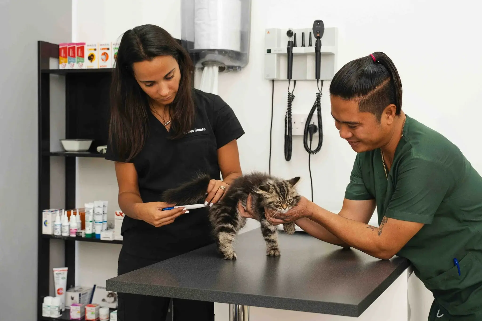 Dr. Inês Gomes administers care to a cat with the help of an assistant, using a syringe in a well-equipped veterinary clinic.