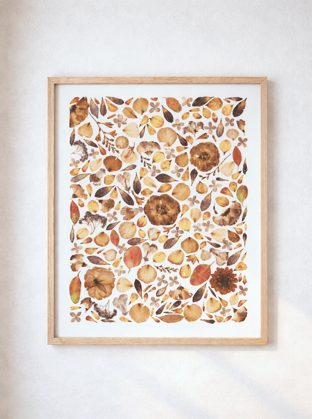 gepresste blumen in einem bilderrahmen