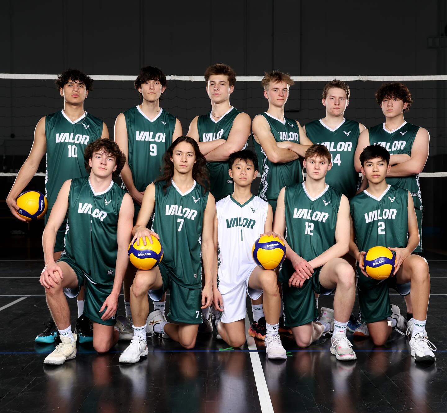 Mens volleyball team photo