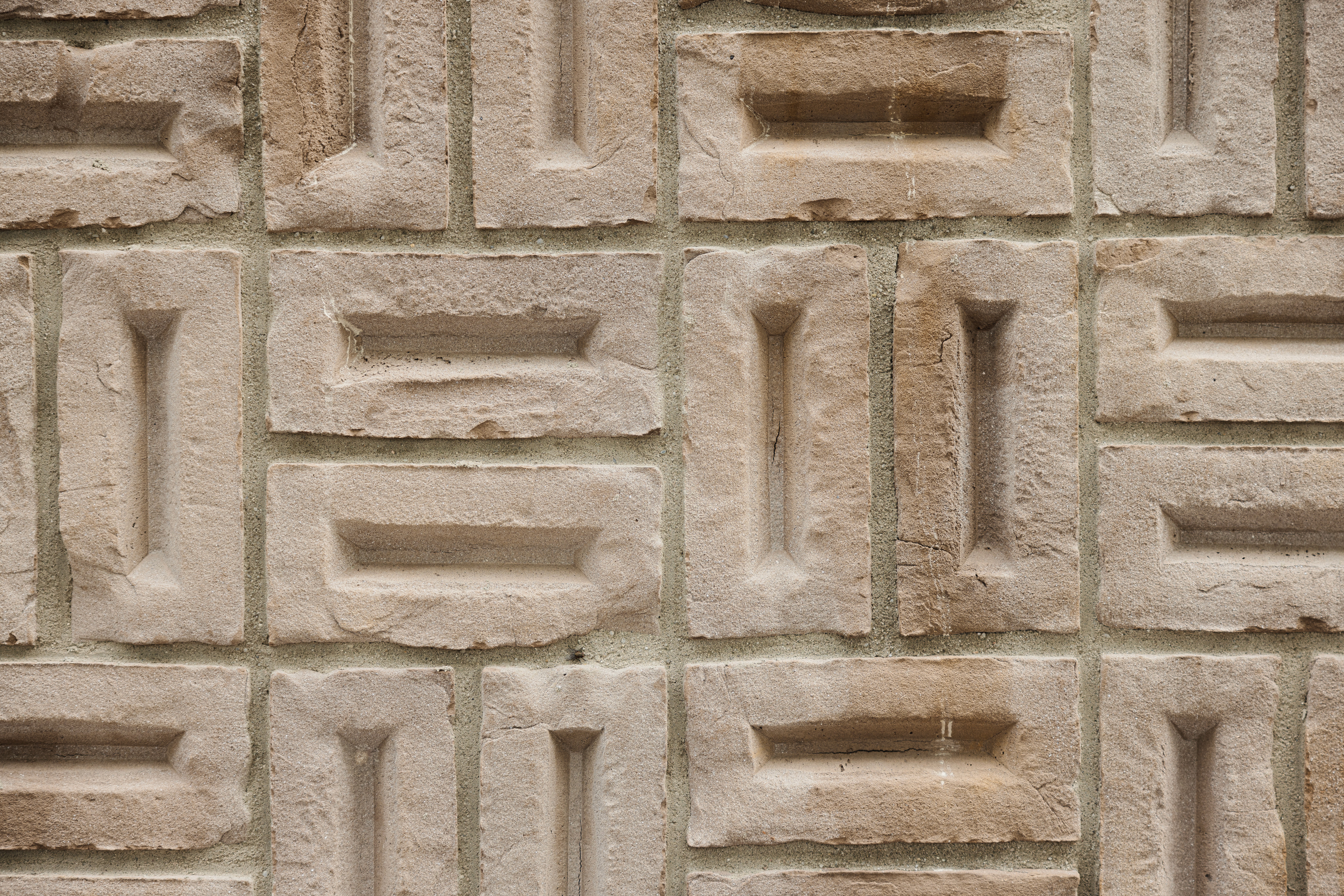 Here comes the alt text