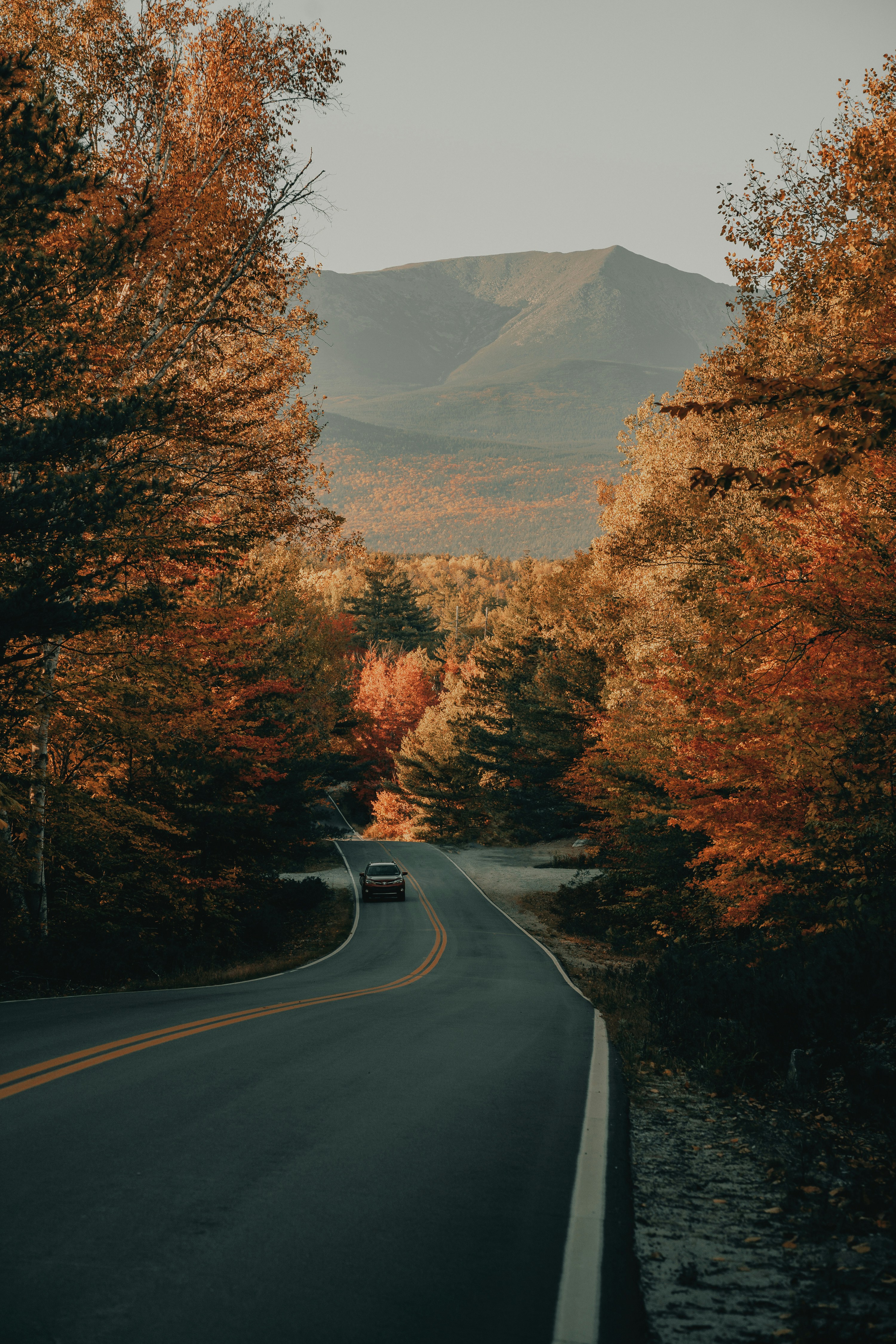 Maine Foliage