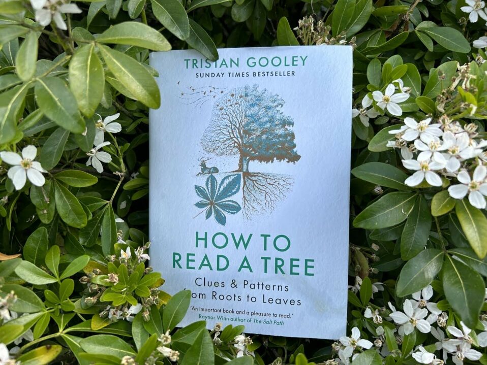 Online Talk with Tristan Gooley: How to Read a Tree – Gilbert Whites House