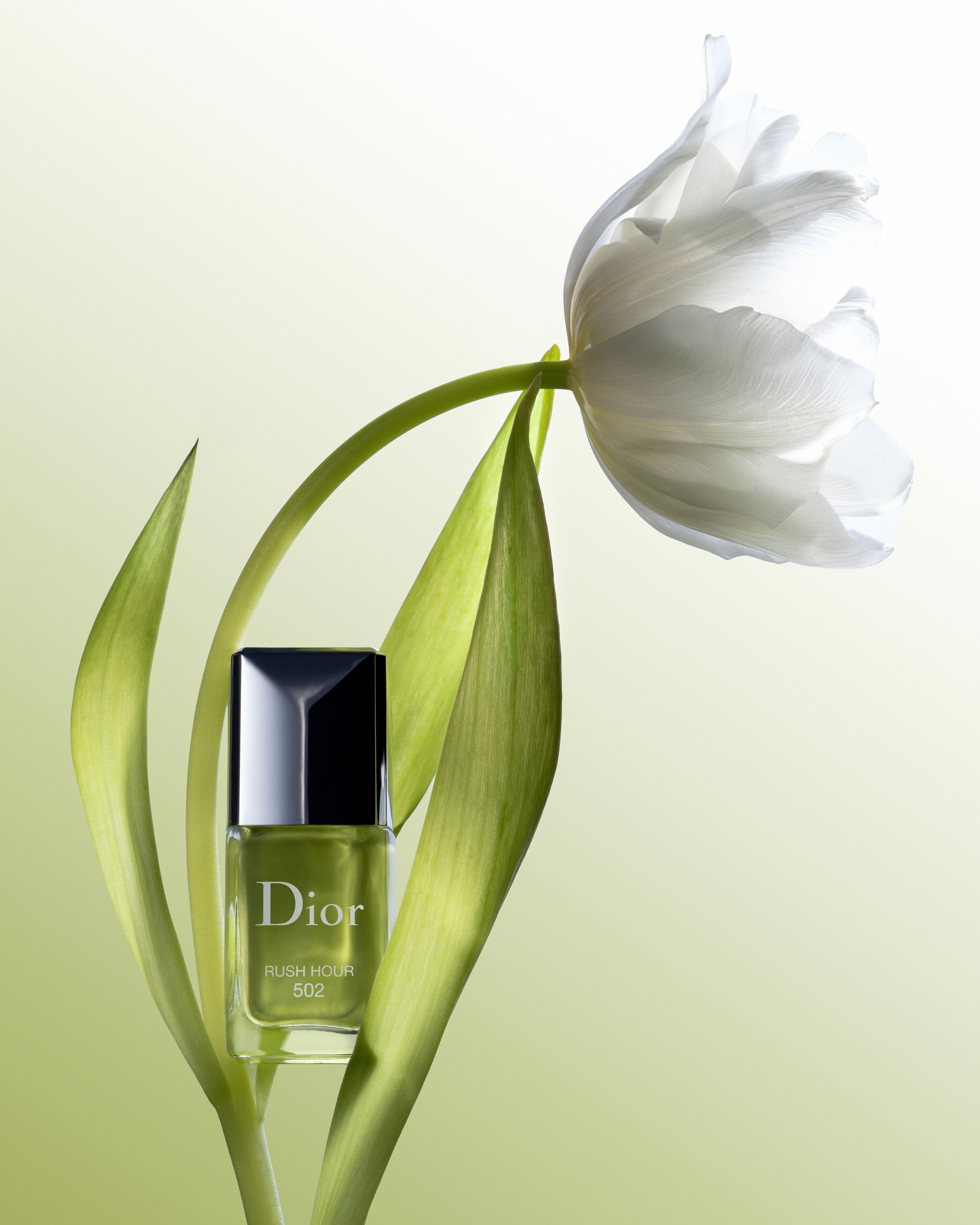 Dior, Photos cosmétique, Macro, Détaillé, pierretmae