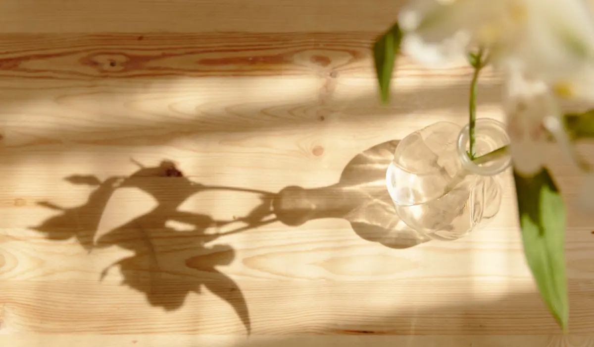 Early sunlight casting the shadow of a glass bud vase and white flowers across a pale wooden surface
