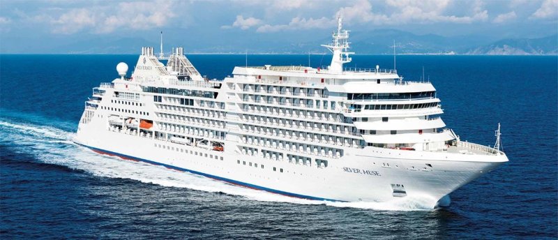 Farmers harvesting grapes in a vineyard, teamwork and organic farming.