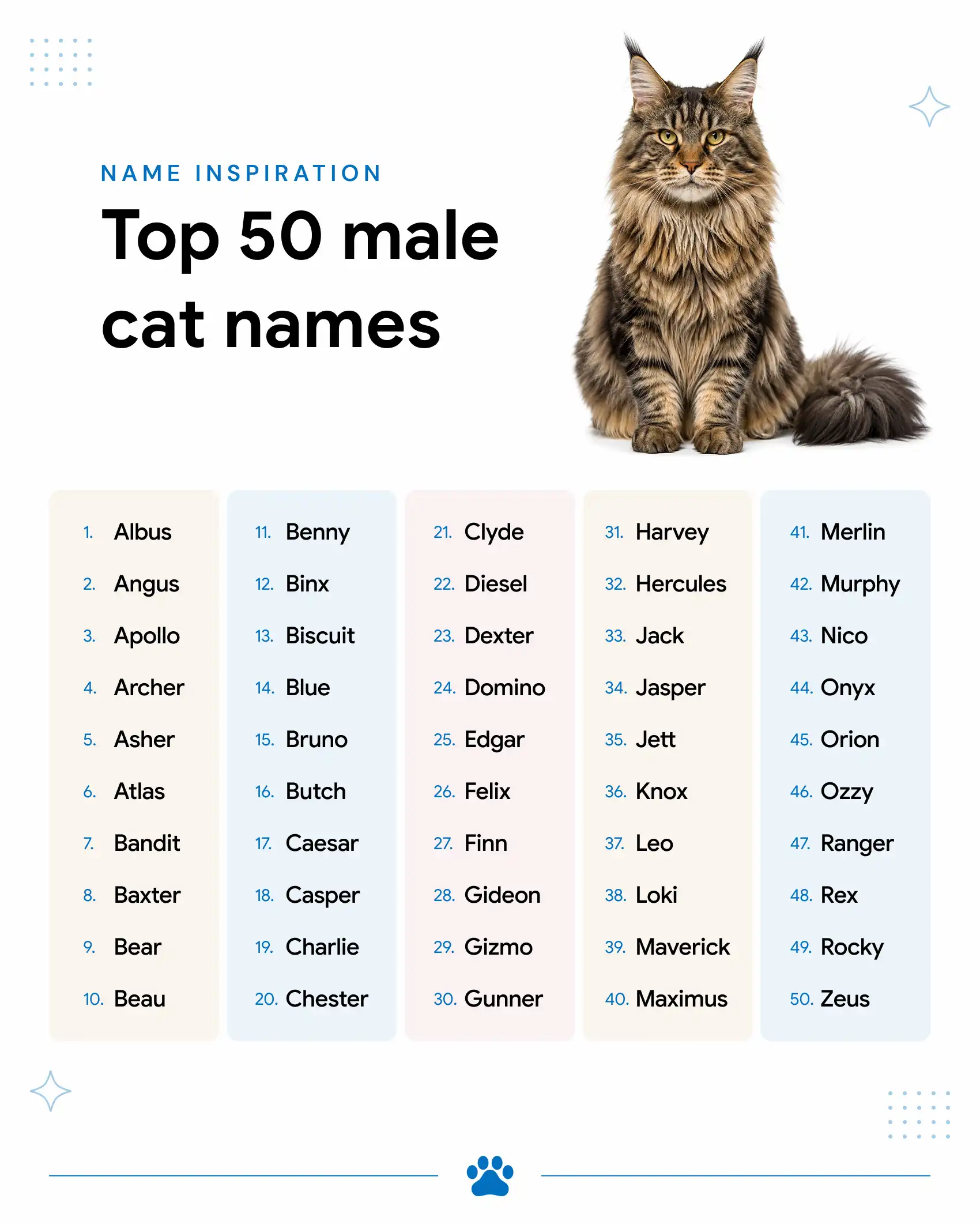 A list of 50 male cat names you can choose for your pet.
