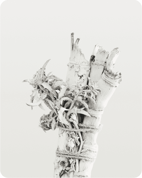 Minimal dried flower arrangement with driftwood