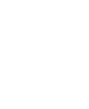 Human Deminer