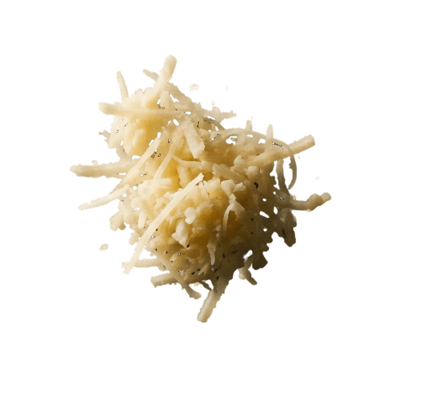 mushroom_2