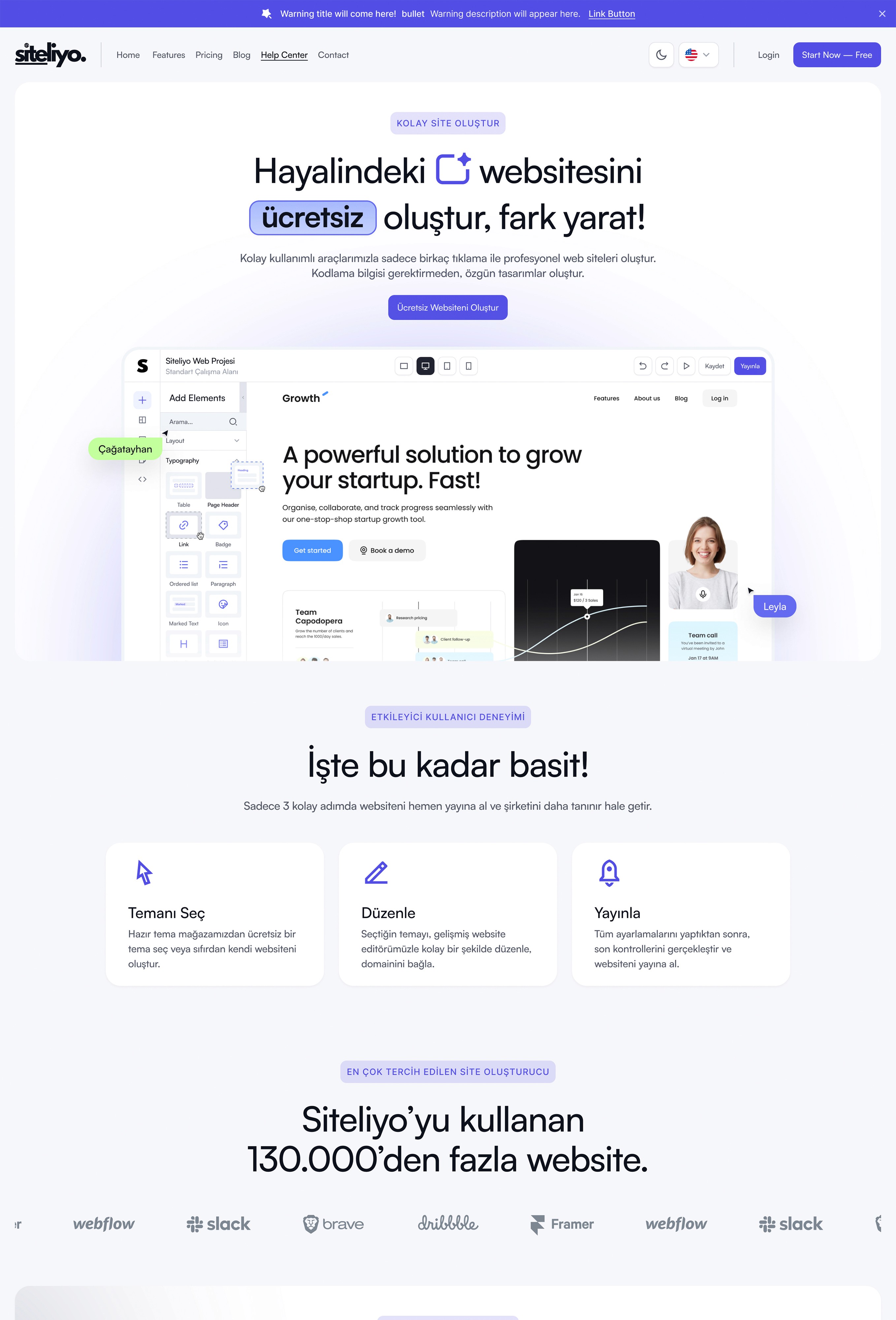 Siteliyo UI/UX Design Screenshot