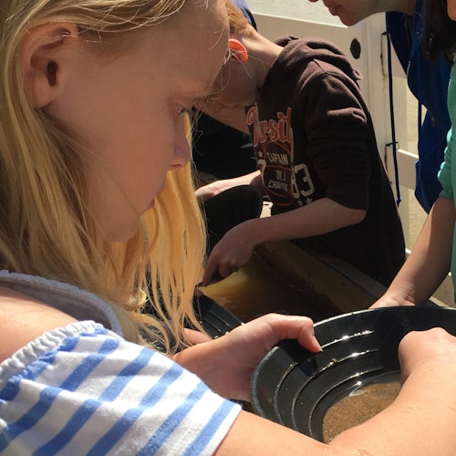 淘金乐趣无限！