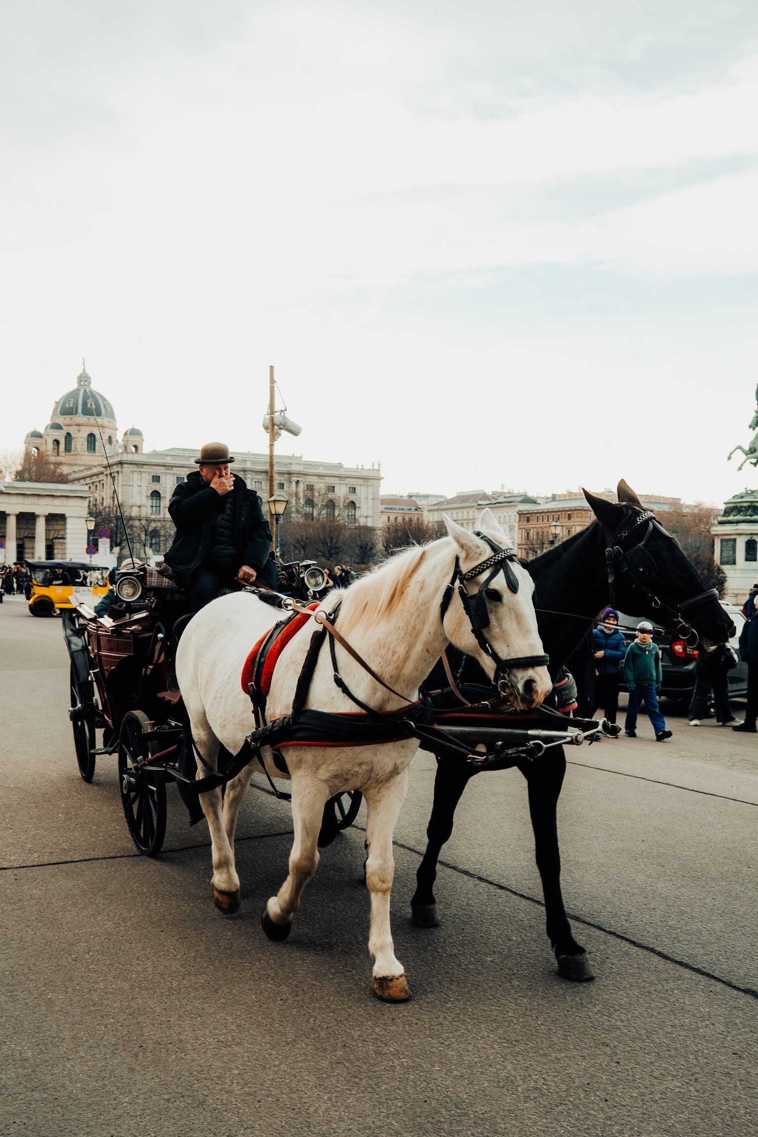 Cochero con bombín y caballos blanco y negro en la Heldenplatz