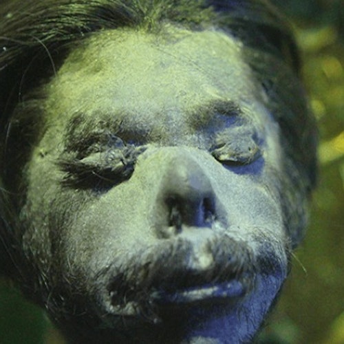 Ripley's Believe It or Not!, Louis Tussad's Waxworks, Ripley's Illusion Lab, Ripley's Moving Theater San Antonio