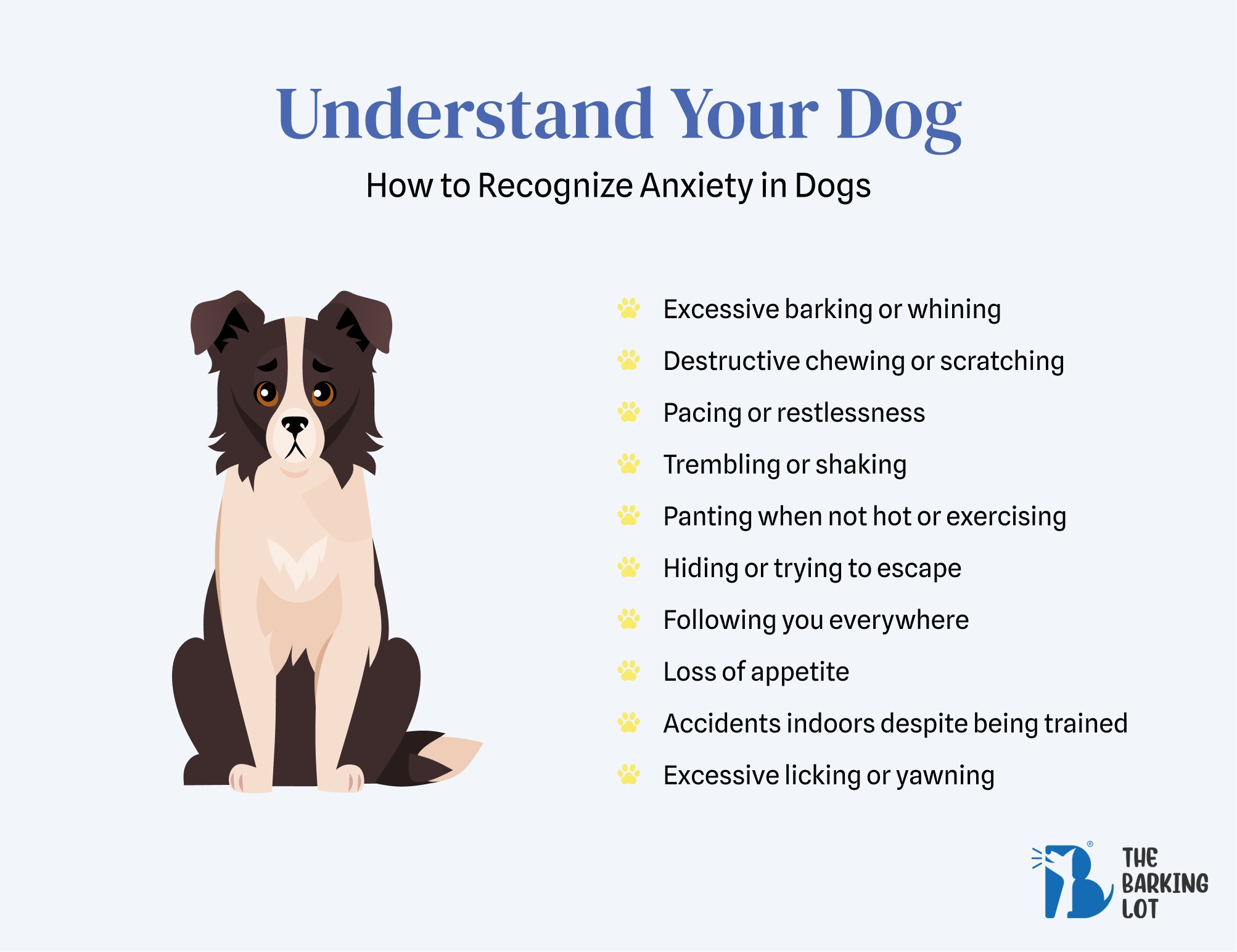 Signs of anxiety in dogs