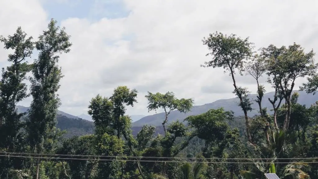 Chikmagalur Coffee Plantations