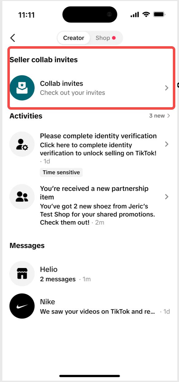 A blurred mobile phone screenshot showing a message thread and an identity verification notice within a social application.