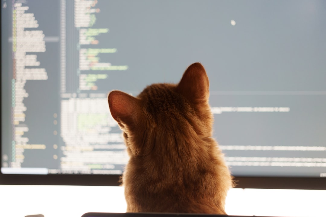 Developer reviewing SQL code