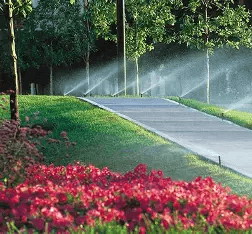 Garden sprinkler in a maintained green landscape