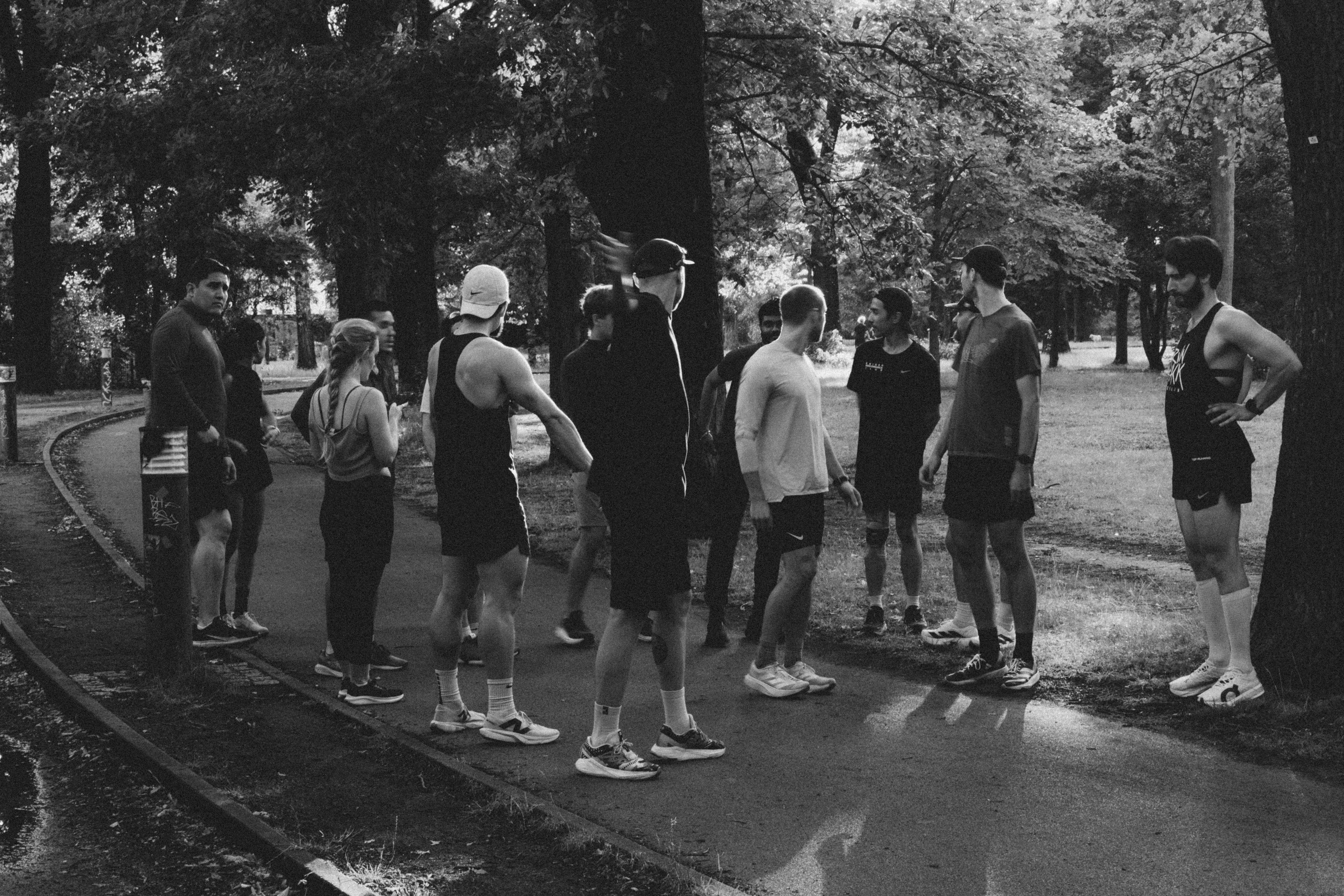 Group running in the forest