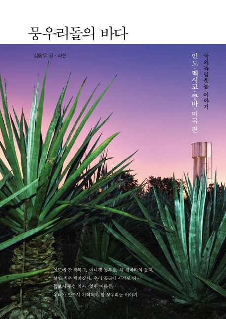 작가 김동우의 뭉우리돌의 바다 책 표지