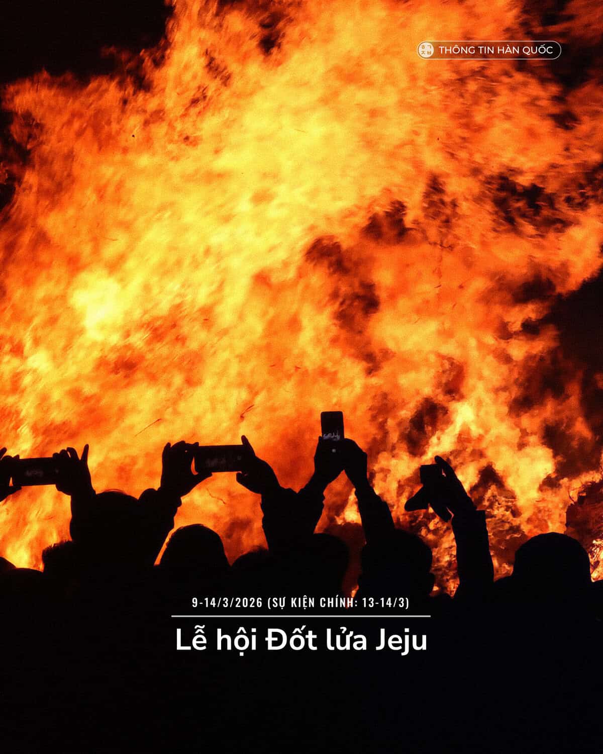 Lễ hội đốt lửa Jeju 2026 - ngọn lửa khổng lồ bùng cháy trên đỉnh Saebyeoloreum với đám đông chụp ảnh