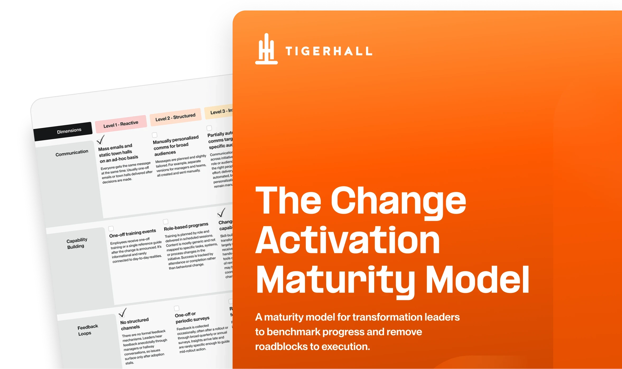 The Change Activation Maturity Model