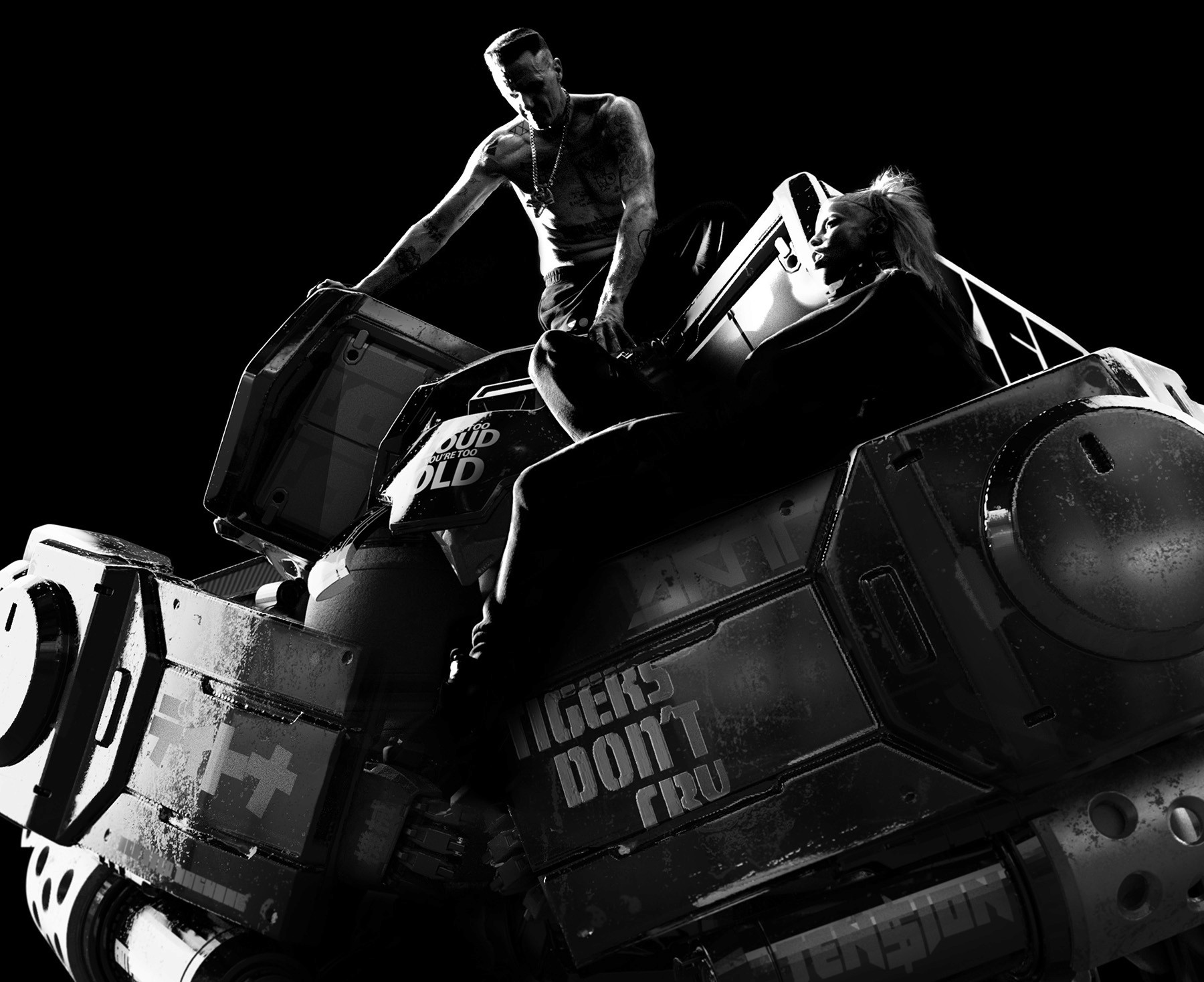 DIE ANTWOORD