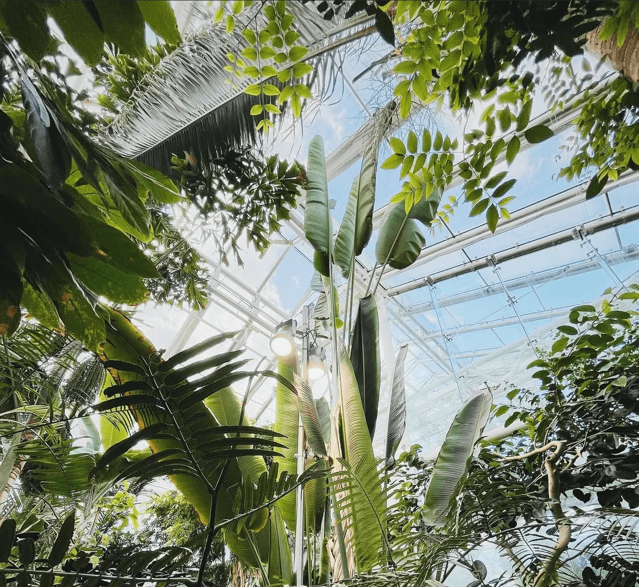 a group of people walking on a sidewalk