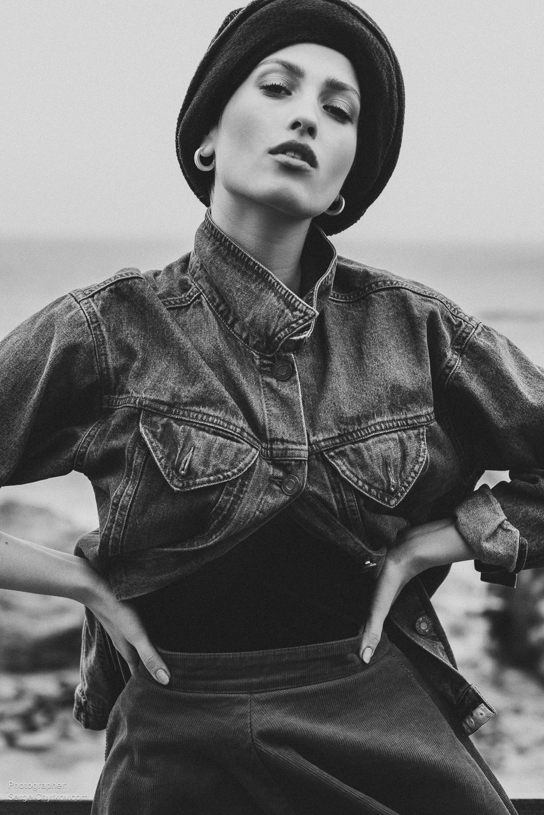 Seagulls by Sergei Chyrkov