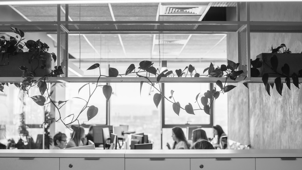 צמחייה המשקיפה על חדר העבודה המרכזי